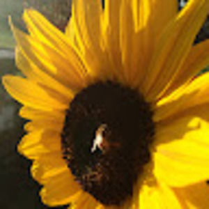 Meet your Posher, Corinne